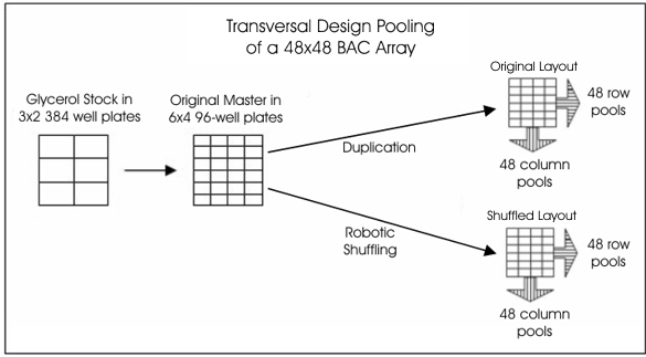 BAC Pooling